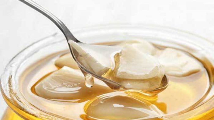 Antibiyotik Etkisi Gösteren Mucizevi Besinler