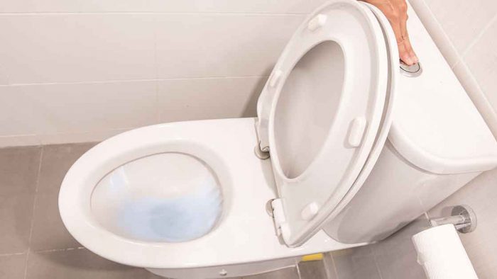Bu Gerçeği Öğrendikten Sonra Bir Daha Asla Klozet Kapağını Kapatmadan Sifonu Çekmeyeceksiniz